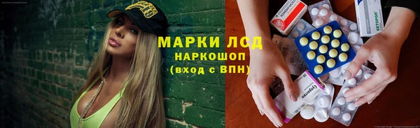 крисы Заводоуковск