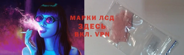стафф Заволжск